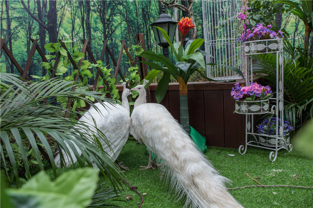 ϣwilliamhill(й)-ٷվ