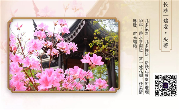 ϣwilliamhill(й)-ٷվ