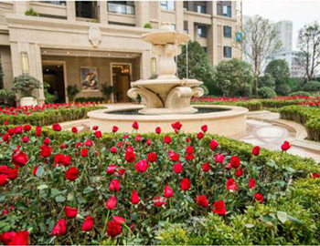 Williamϣڡ빫԰忪Խ